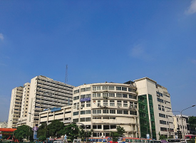 Project Name
